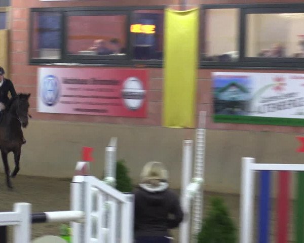 Hallenspringturnier Altenberge 2016
