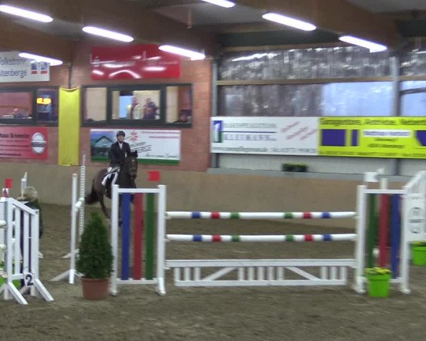 Hallenspringturnier Altenberge 2016