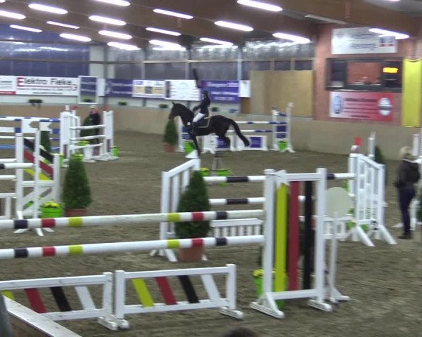 Hallenspringturnier Altenberge 2016