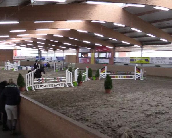 Hallenspringturnier Altenberge 2016
