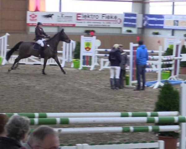 Hallenspringturnier Altenberge 2016