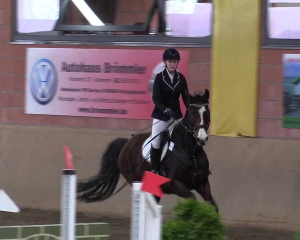 Hallenspringturnier Altenberge 2016