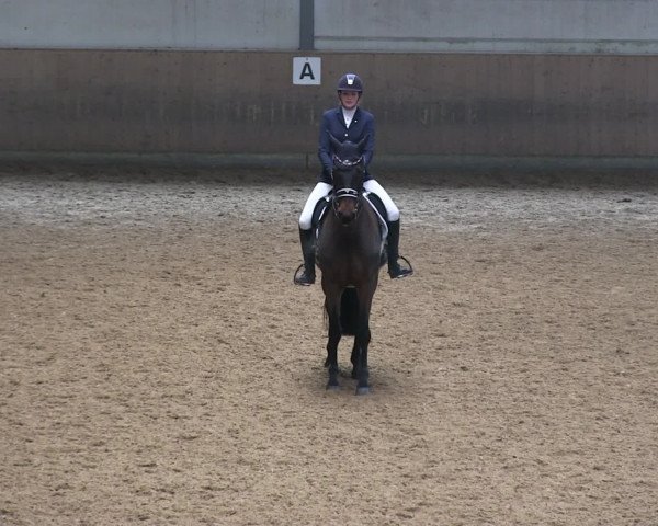 Hallen-Reitturnier Iserlohn 2016