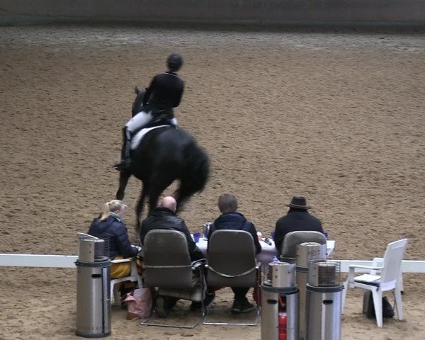 Hallen-Reitturnier Iserlohn 2016