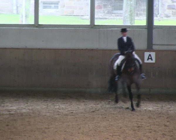 Hallen-Reitturnier Iserlohn 2016