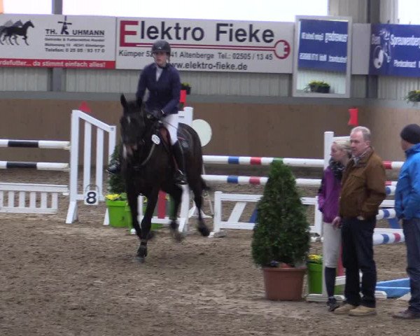 Hallenspringturnier Altenberge 2016