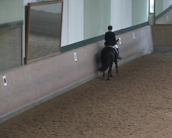 Hallen-Reitturnier Iserlohn 2016