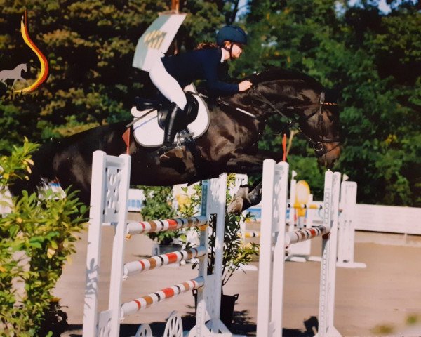 jumper Espatako's Pocco R (Westphalian, 2009, from Espatako)