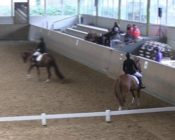 Hallen-Reitturnier Iserlohn 2016