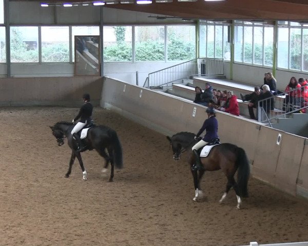 Hallen-Reitturnier Iserlohn 2016