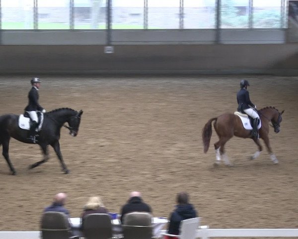 Hallen-Reitturnier Iserlohn 2016
