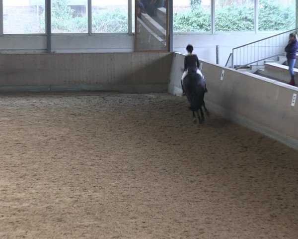Hallen-Reitturnier Iserlohn 2016