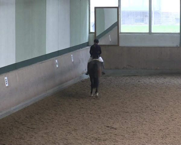 Hallen-Reitturnier Iserlohn 2016