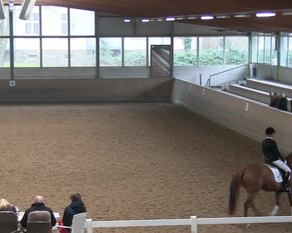 Hallen-Reitturnier Iserlohn 2016