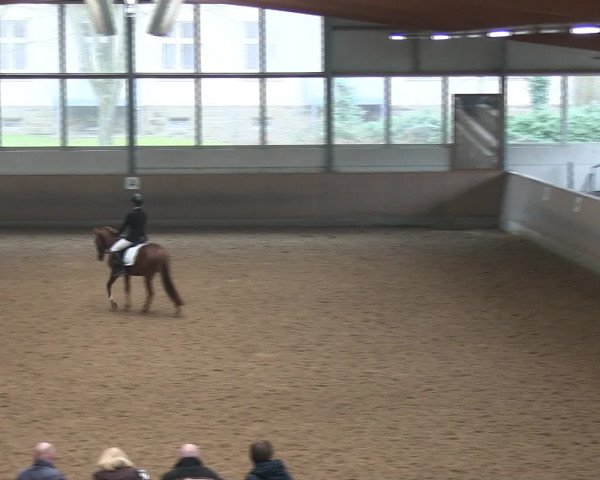 Hallen-Reitturnier Iserlohn 2016