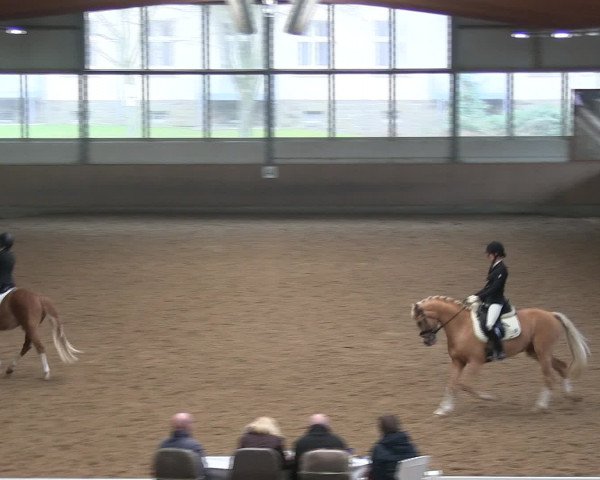 Hallen-Reitturnier Iserlohn 2016