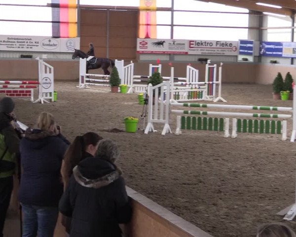 Hallenspringturnier Altenberge 2016