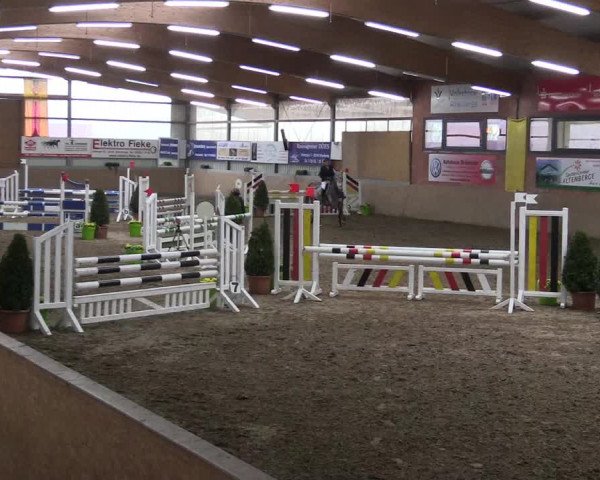 Hallenspringturnier Altenberge 2016