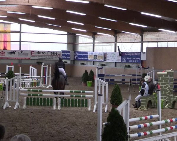 Hallenspringturnier Altenberge 2016