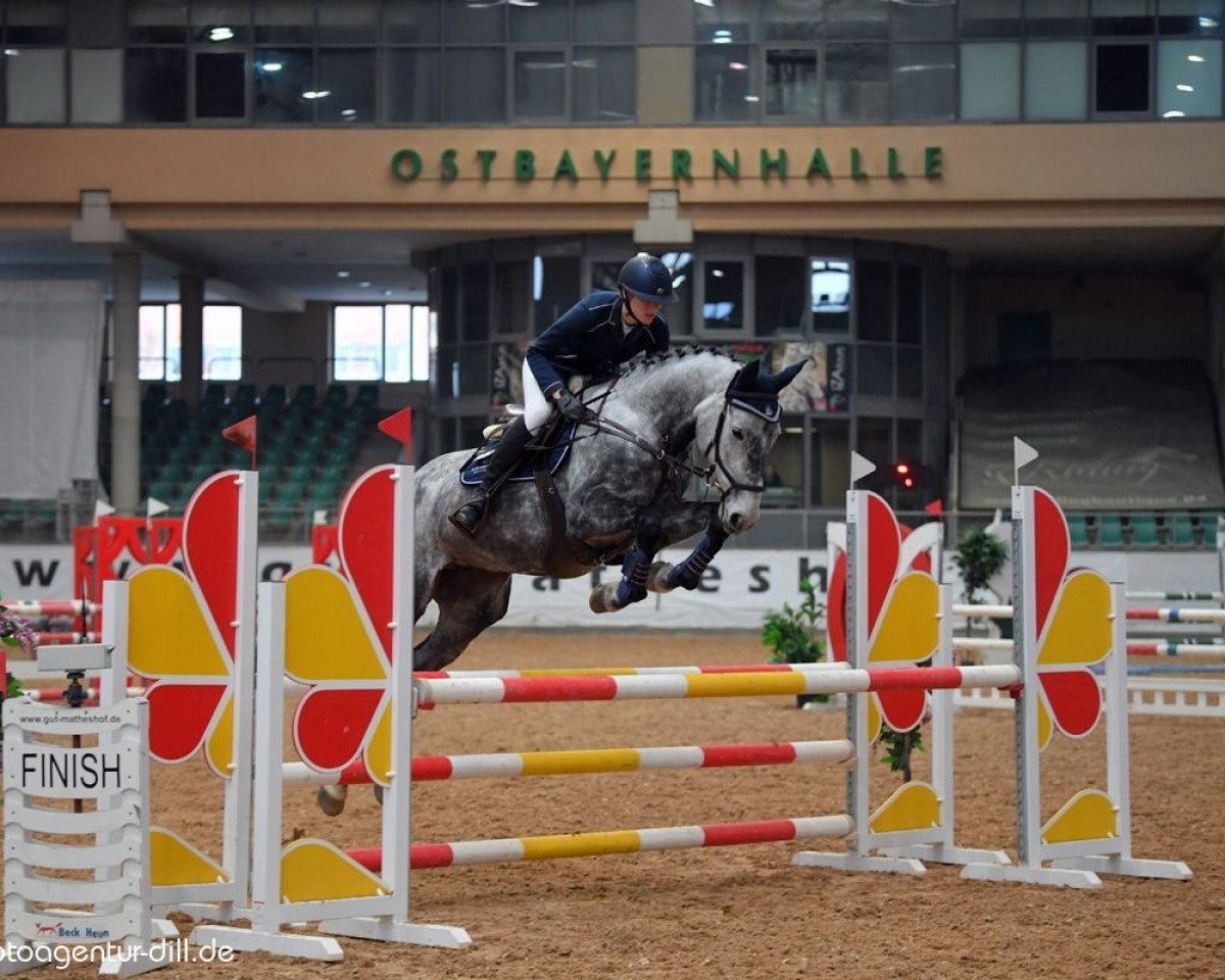 broodmare Good Loop (Holsteiner, 2014, from Kannan)