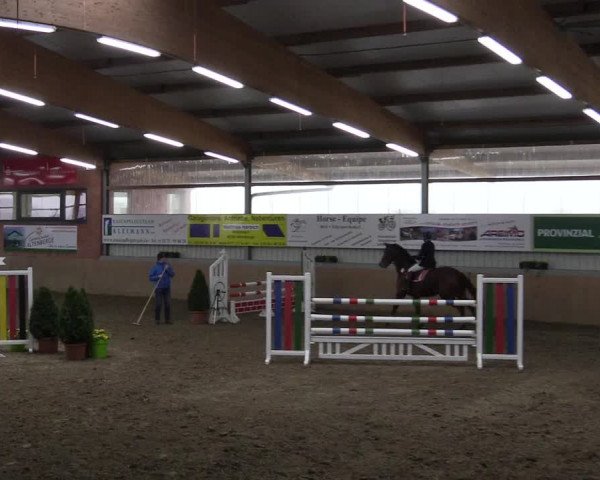 Hallenspringturnier Altenberge 2016