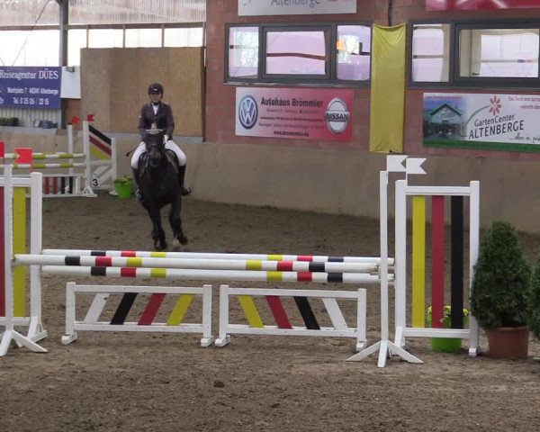 Hallenspringturnier Altenberge 2016