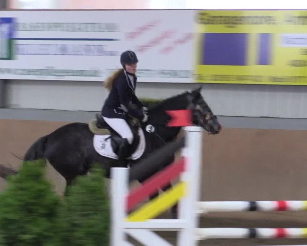 Hallenspringturnier Altenberge 2016