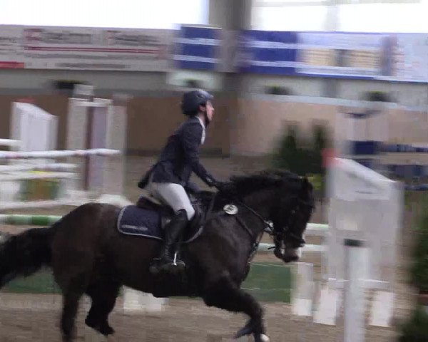 Hallenspringturnier Altenberge 2016