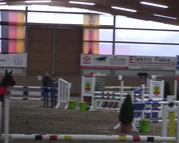 Hallenspringturnier Altenberge 2016