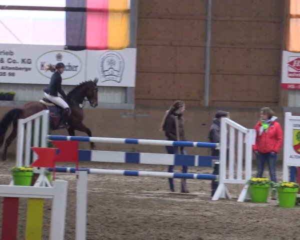 Hallenspringturnier Altenberge 2016
