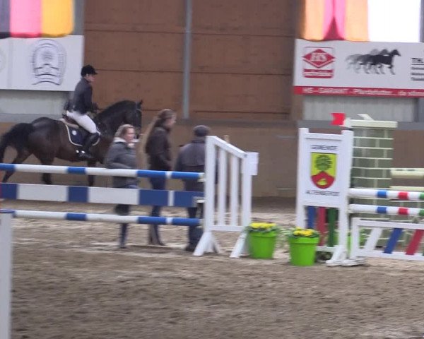 Hallenspringturnier Altenberge 2016
