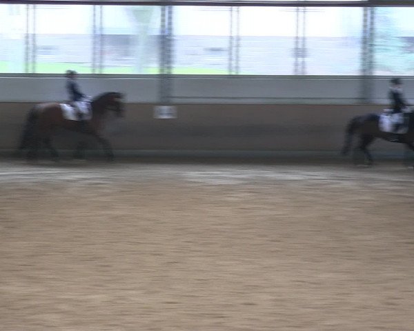 Hallen-Reitturnier Iserlohn 2016