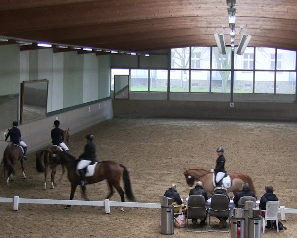 Hallen-Reitturnier Iserlohn 2016
