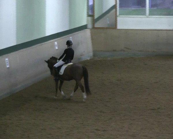 Hallen-Reitturnier Iserlohn 2016