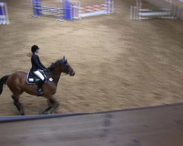 Hallen-Reitturnier Iserlohn 2016