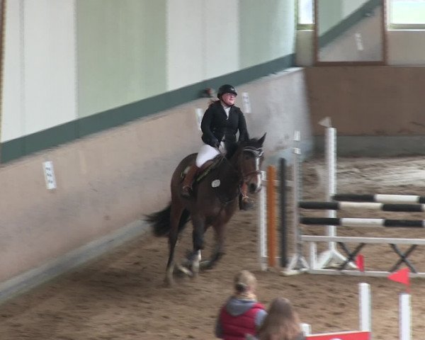 Hallen-Reitturnier Iserlohn 2016