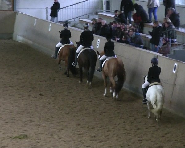 Hallen-Reitturnier Iserlohn 2016