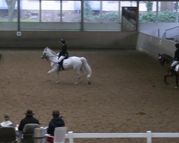 Hallen-Reitturnier Iserlohn 2016