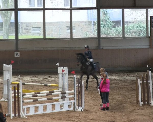 Hallen-Reitturnier Iserlohn 2016