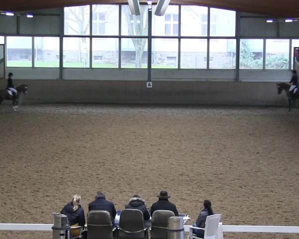 Hallen-Reitturnier Iserlohn 2016