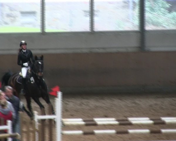 Hallen-Reitturnier Iserlohn 2016