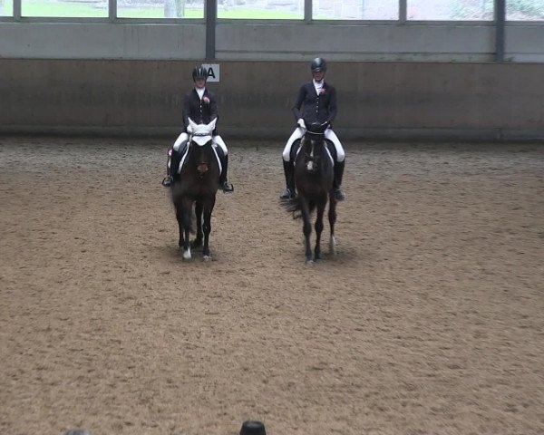 Hallen-Reitturnier Iserlohn 2016