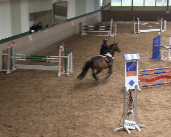 Hallen-Reitturnier Iserlohn 2016