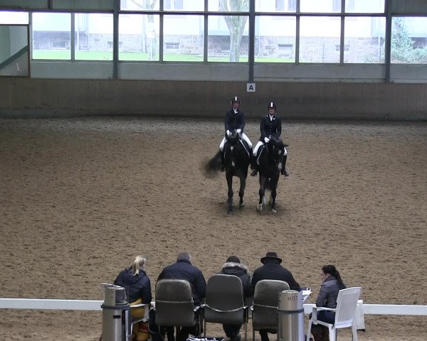 Hallen-Reitturnier Iserlohn 2016