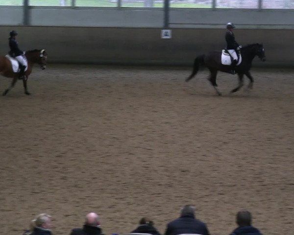Hallen-Reitturnier Iserlohn 2016