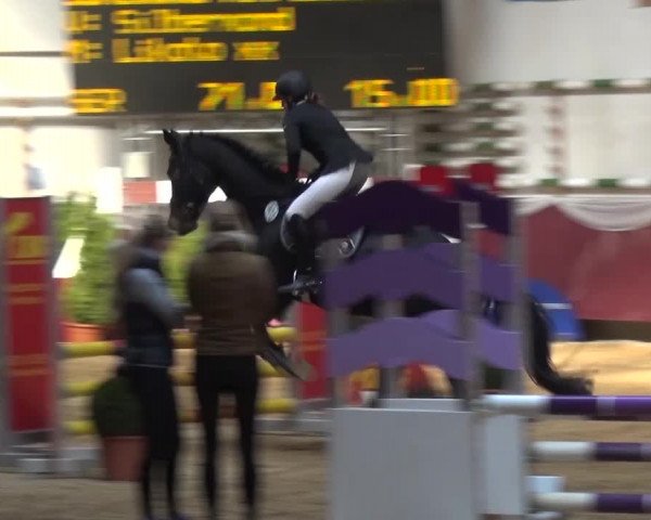 Springturnier Eicherloh - Laurent 2016