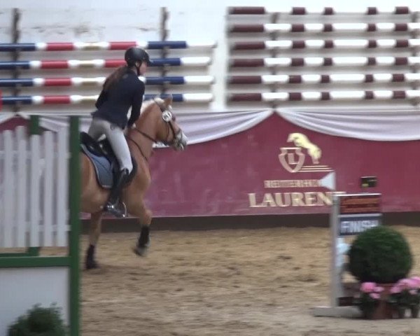 Springturnier Eicherloh - Laurent 2016