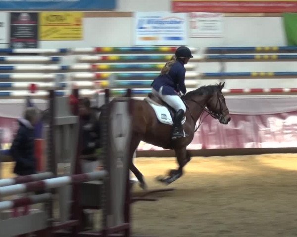Springturnier Eicherloh - Laurent 2016
