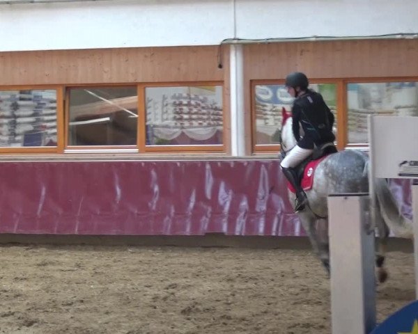 Springturnier Eicherloh - Laurent 2016
