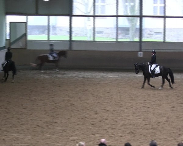 Hallen-Reitturnier Iserlohn 2016